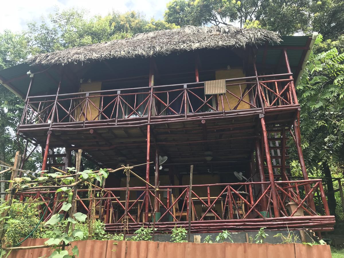 Hotel Free Spirit Oasis Bocas del Toro Exteriér fotografie